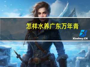 怎样水养广东万年青