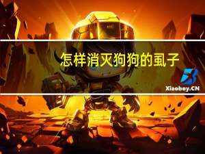 怎样消灭狗狗的虱子