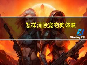 怎样消除宠物狗体味