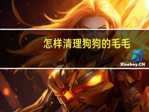 怎样清理狗狗的毛毛
