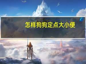 怎样狗狗定点大小便