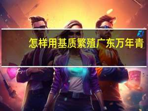 怎样用基质繁殖广东万年青