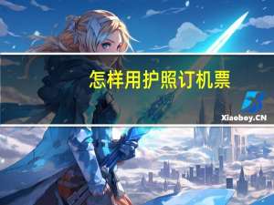 怎样用护照订机票
