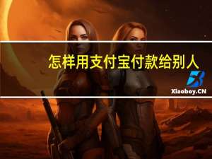 怎样用支付宝付款给别人（怎样用支付宝付款）