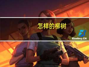 怎样的柳树