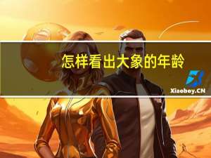 怎样看出大象的年龄
