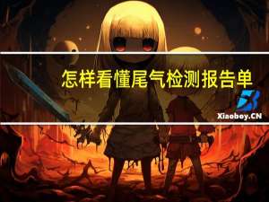 怎样看懂尾气检测报告单