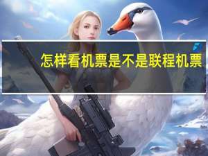 怎样看机票是不是联程机票
