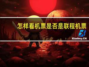 怎样看机票是否是联程机票