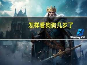 怎样看狗狗几岁了