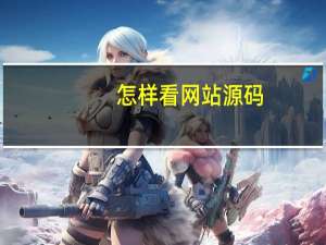 怎样看网站源码