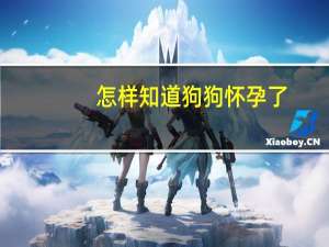 怎样知道狗狗怀孕了