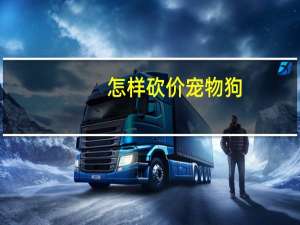 怎样砍价宠物狗