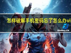 怎样破解手机密码忘了怎么办vivo（怎样破解手机密码）