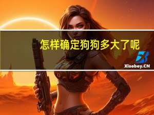 怎样确定狗狗多大了呢
