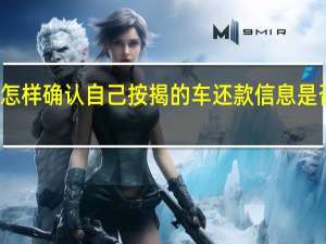 怎样确认自己按揭的车还款信息是否正确（怎样查询车贷还款余额）