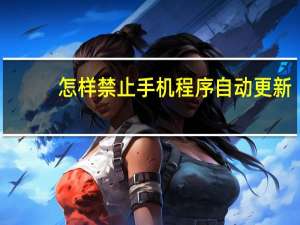 怎样禁止手机程序自动更新