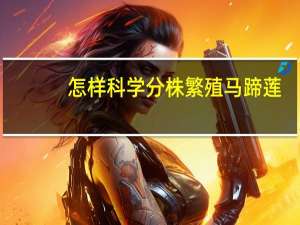怎样科学分株繁殖马蹄莲