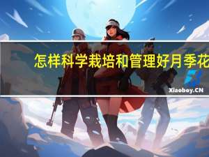 怎样科学栽培和管理好月季花