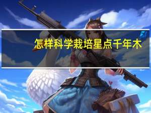 怎样科学栽培星点千年木