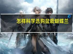 怎样科学选购盆栽蝴蝶兰