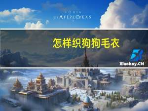 怎样织狗狗毛衣