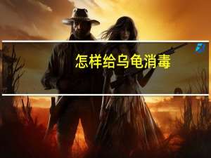 怎样给乌龟消毒