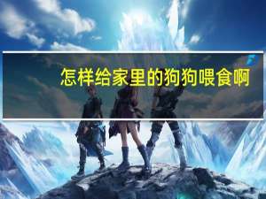 怎样给家里的狗狗喂食啊