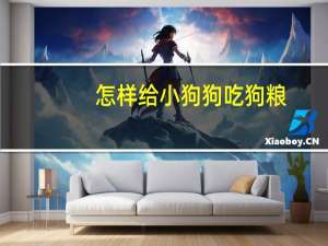 怎样给小狗狗吃狗粮