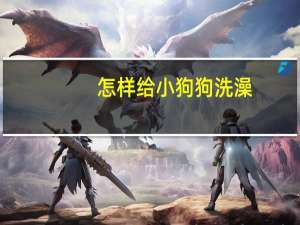 怎样给小狗狗洗澡