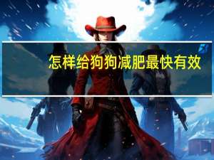 怎样给狗狗减肥最快有效