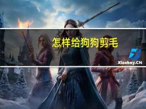 怎样给狗狗剪毛