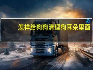 怎样给狗狗清理狗耳朵里面