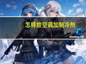 怎样给空调加制冷剂
