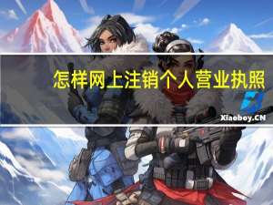 怎样网上注销个人营业执照（怎样网上买彩票）