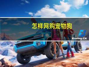 怎样网购宠物狗
