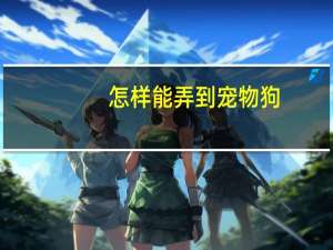 怎样能弄到宠物狗