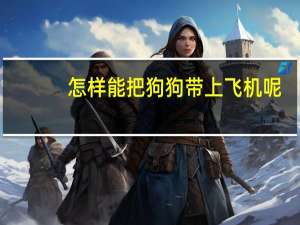 怎样能把狗狗带上飞机呢