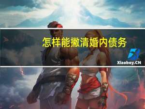 怎样能撇清婚内债务