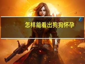 怎样能看出狗狗怀孕