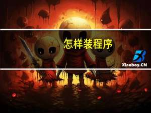 怎样装程序
