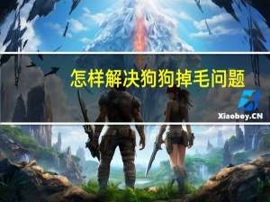 怎样解决狗狗掉毛问题