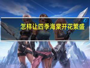怎样让四季海棠开花繁盛