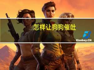 怎样让狗狗催吐