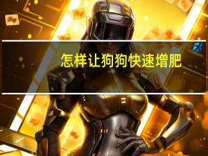 怎样让狗狗快速增肥