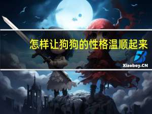 怎样让狗狗的性格温顺起来
