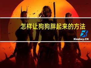 怎样让狗狗胖起来的方法