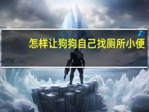 怎样让狗狗自己找厕所小便