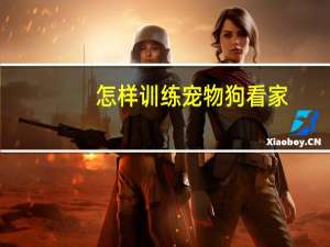 怎样训练宠物狗看家