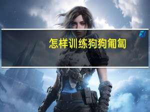 怎样训练狗狗匍匐